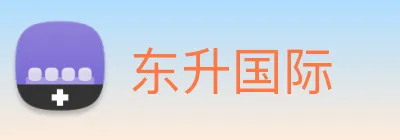 东升国际 Logo